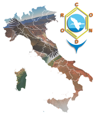 Lavora con noi